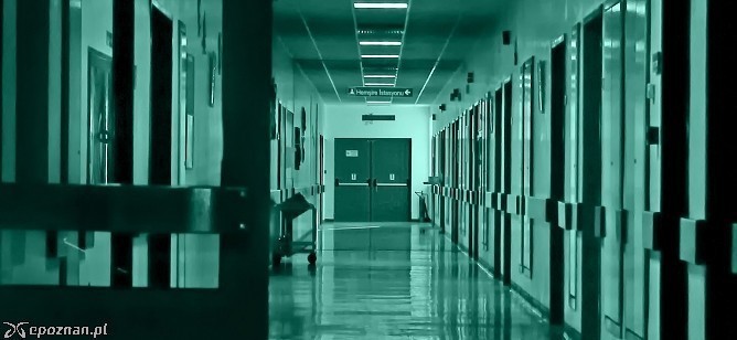 fot. ilco / freeimages.com