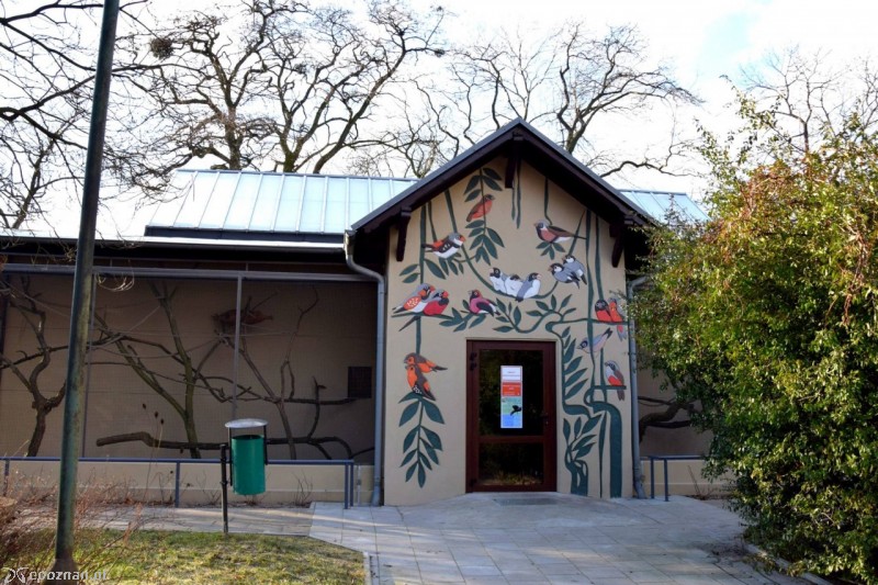 fot. Stare ZOO Poznań
