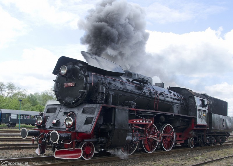 fot. Arkadiusz Michalak