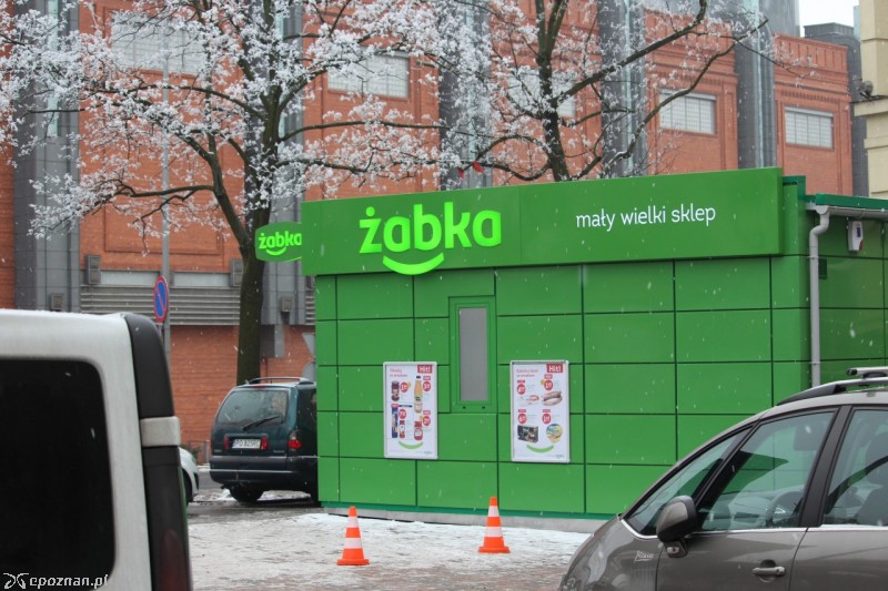 fot. Jędrzej Gerwel