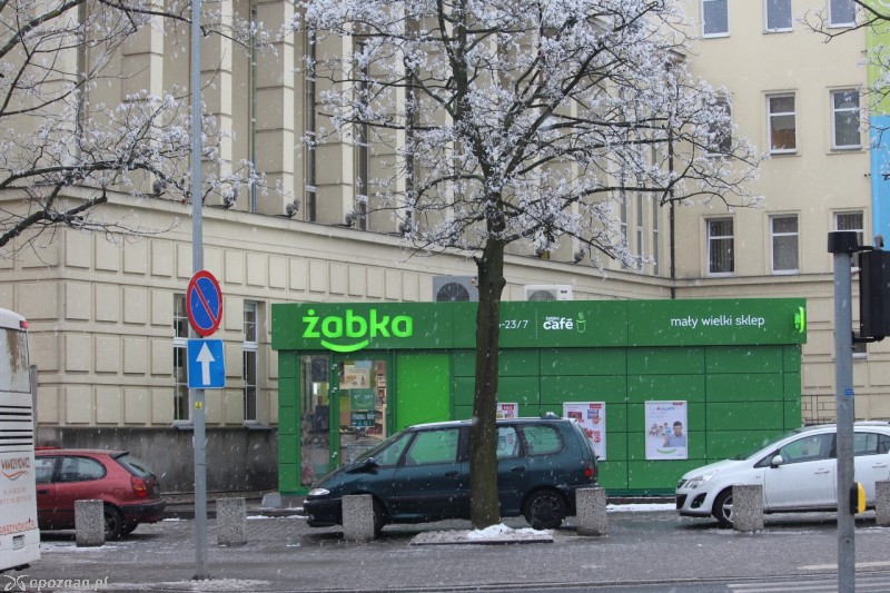 fot. Jędrzej Gerwel