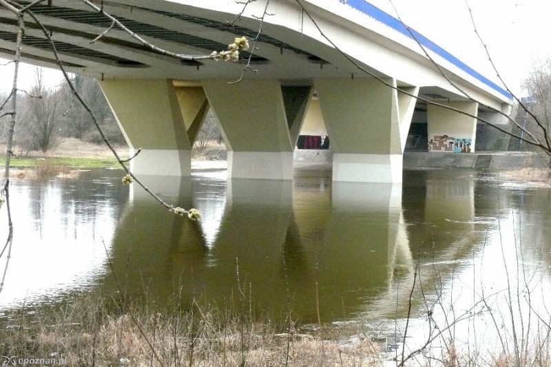 fot. Elżbieta Skowron