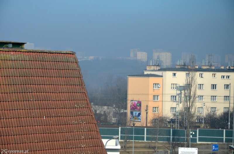 fot. Krzysztof Szczotka