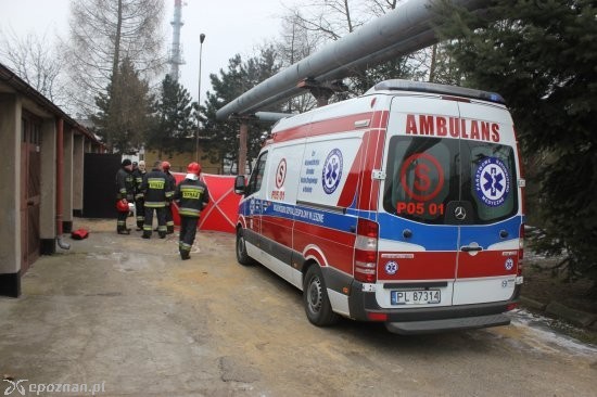 fot. mł. asp. Szymon Kurpisz / PSP Leszno