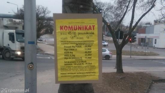 fot. SM