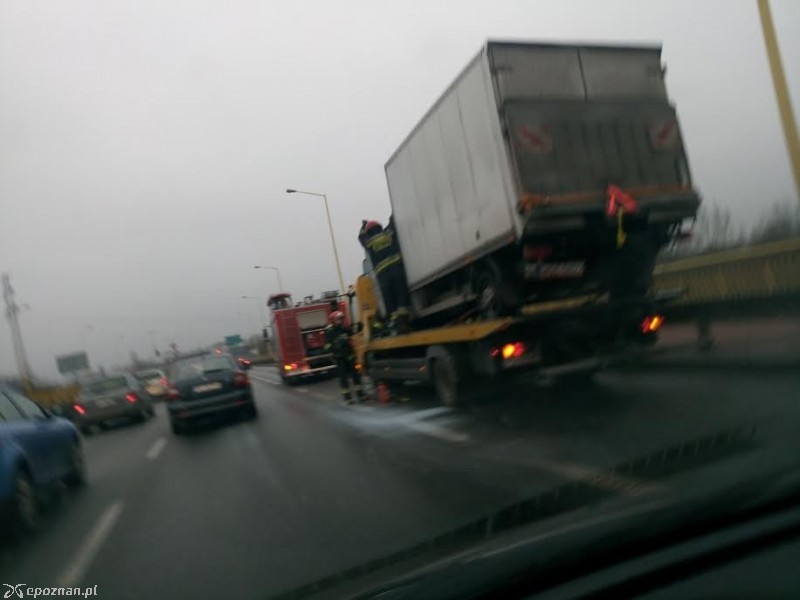 fot. Dąbrówka Orzech