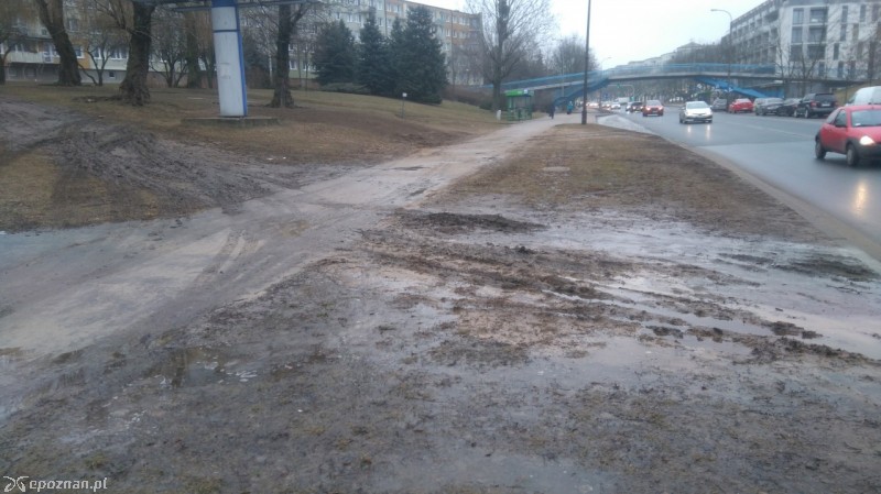 fot. Straż miejska
