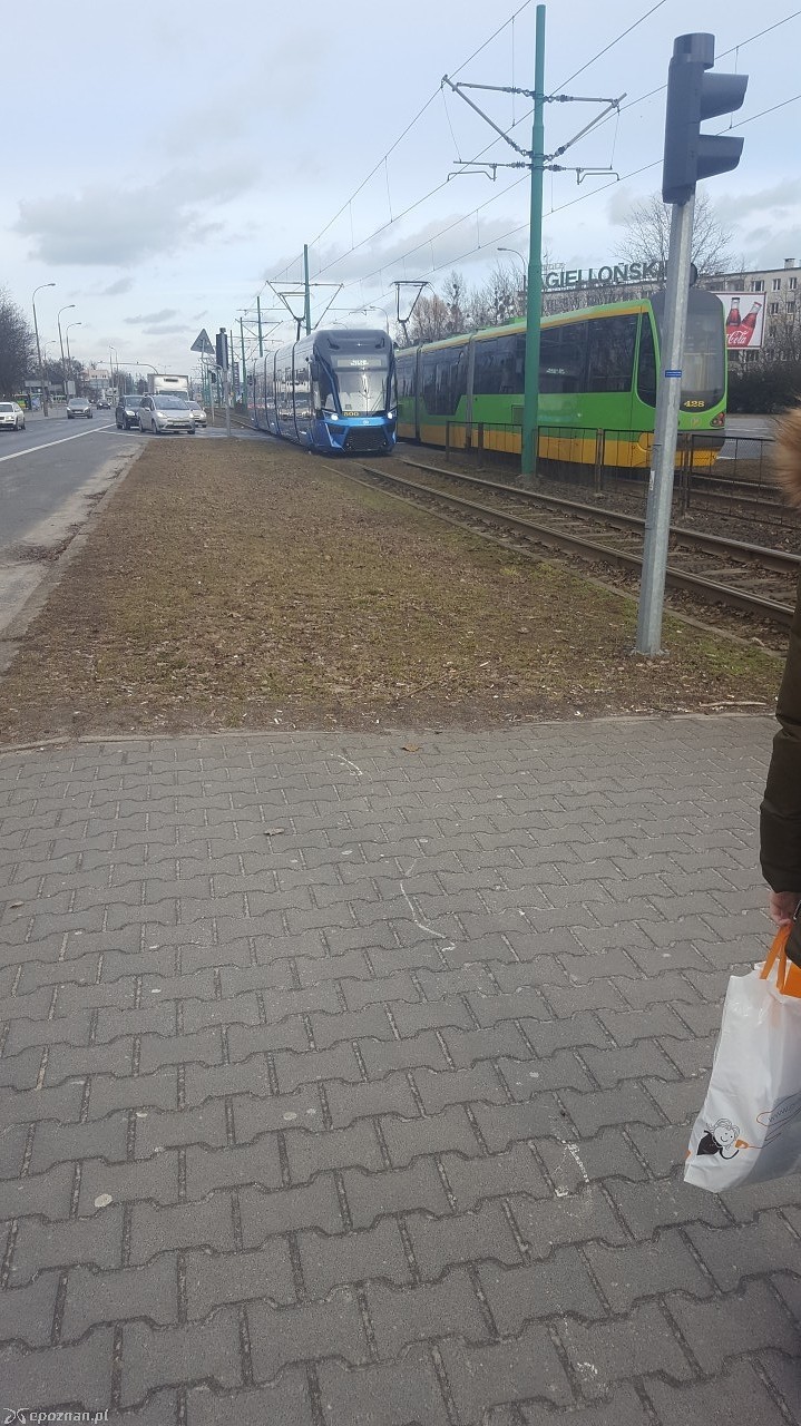 fot. Dominik S.