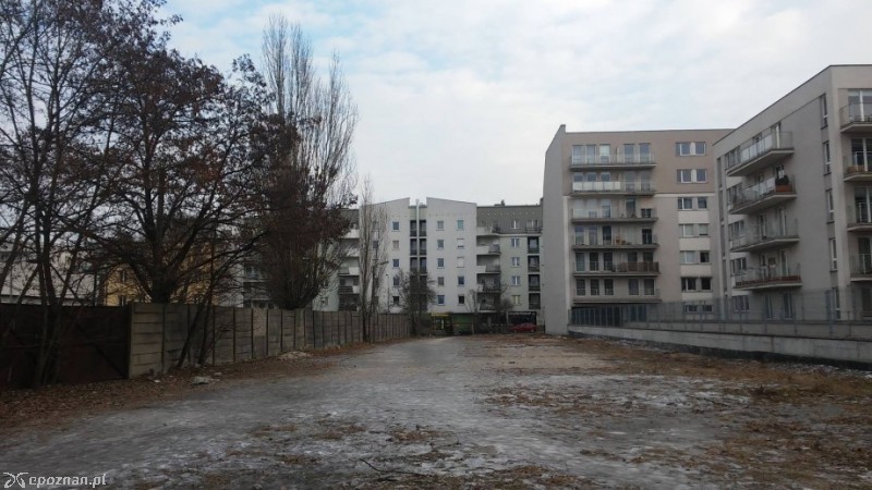 fot. Petycje online