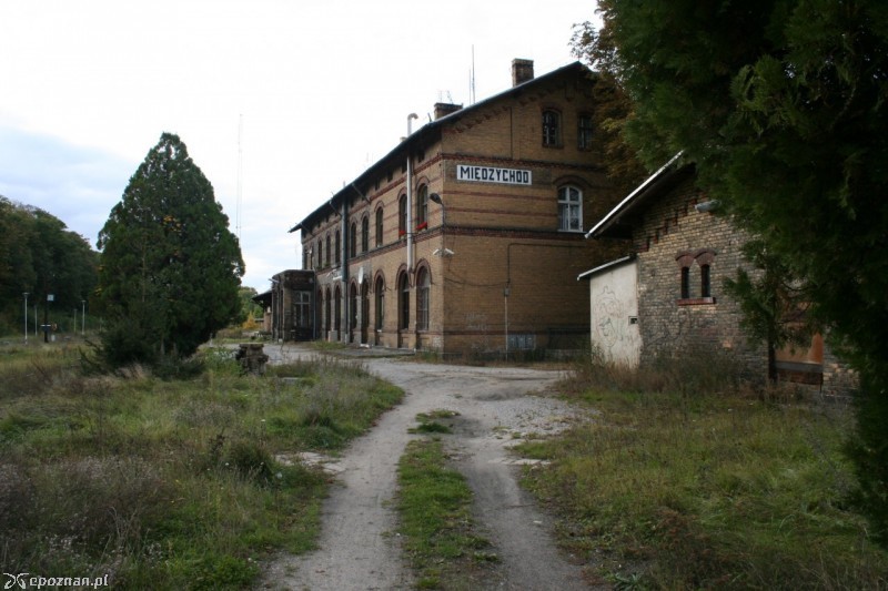 fot. wikimedia