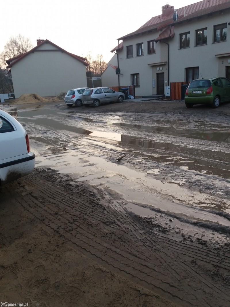 fot. czytelniczka