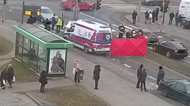 fot. Czytelniczka