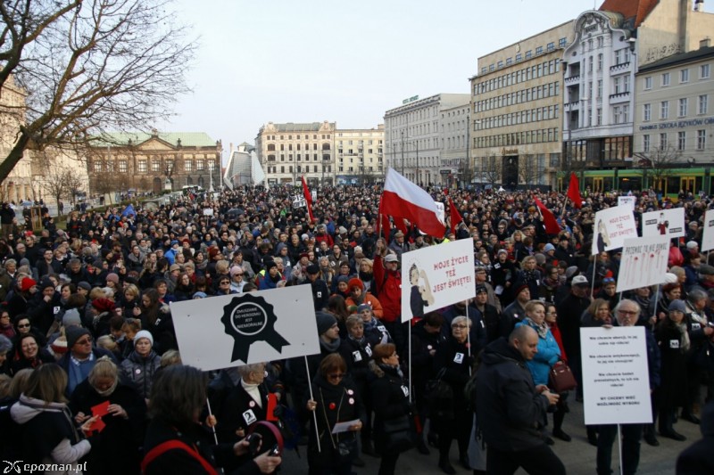 fot. Jacek Molski