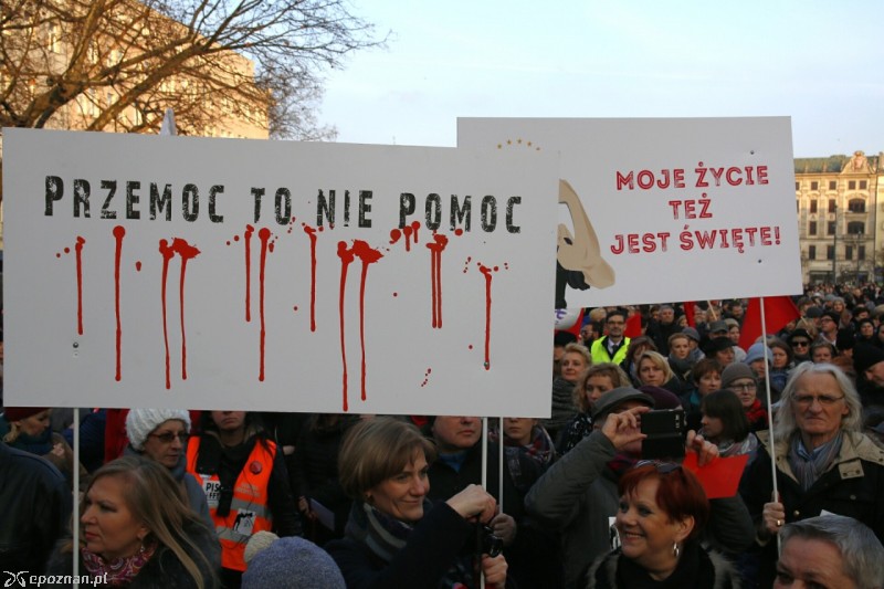fot. Jacek Molski