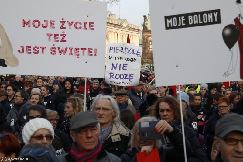 fot. Jacek Molski