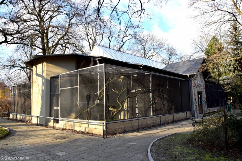 fot. ZOO Poznań