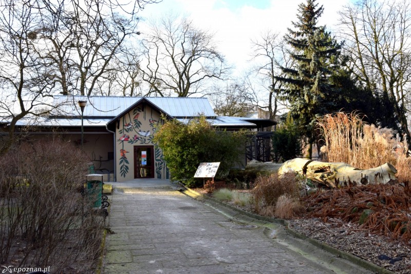 fot. ZOO Poznań
