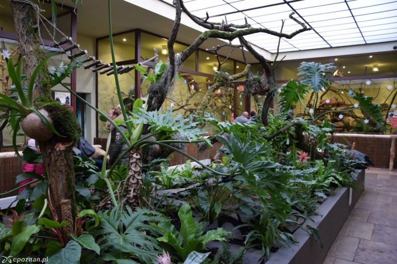 fot. ZOO Poznań