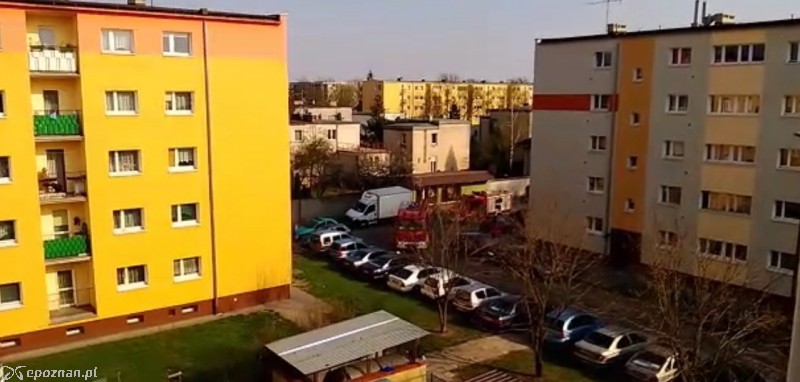 fot. Przemek
