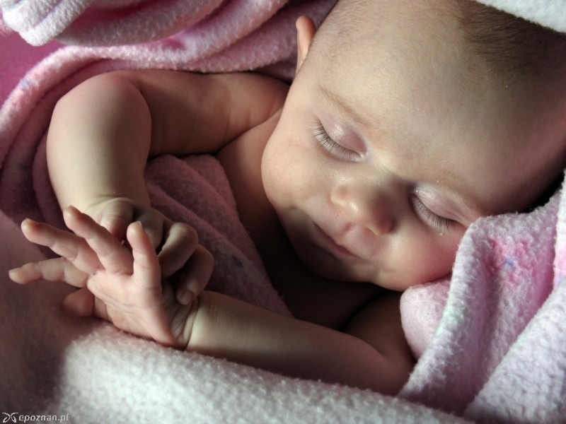 fot. ss/freeimages.com