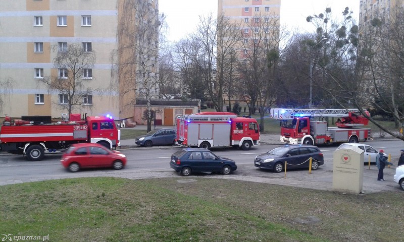 fot. Renata