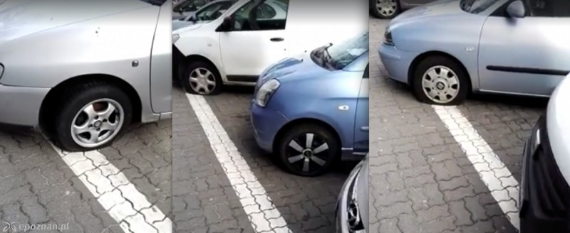fot. Szymon