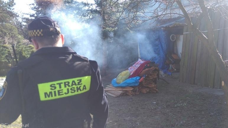 fot. Straż miejska