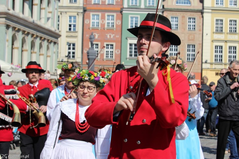 fot. Jędrzej Gerwel