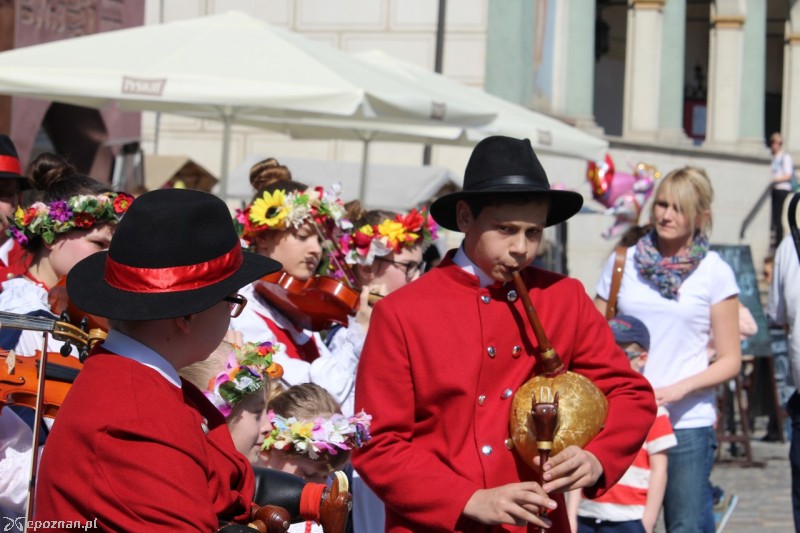 fot. Jędrzej Gerwel