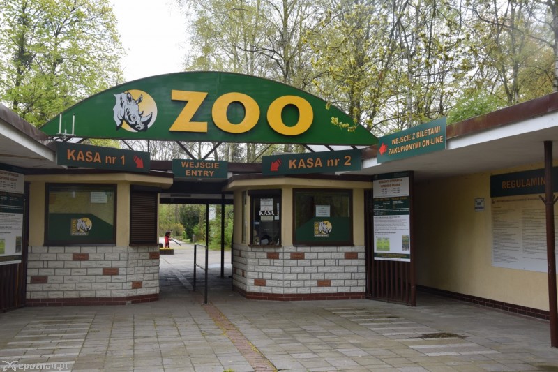 fot. ZOO Poznań