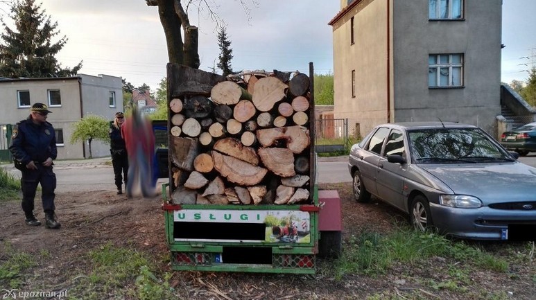 fot. Straż miejska