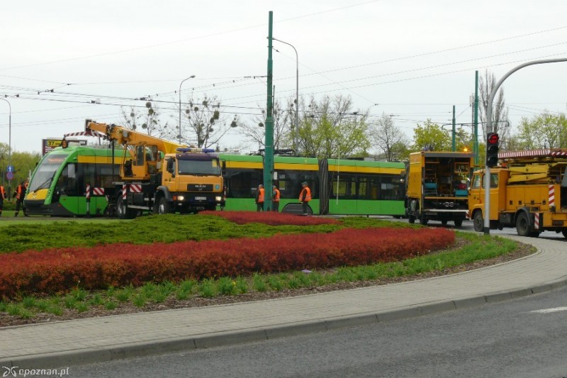 fot. Elżbieta Skowron