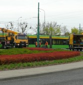 fot. Elżbieta Skowron
