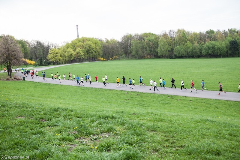 Parkrun Poznań w Parku Cytadela | fot. Tomasz Szwajkowski