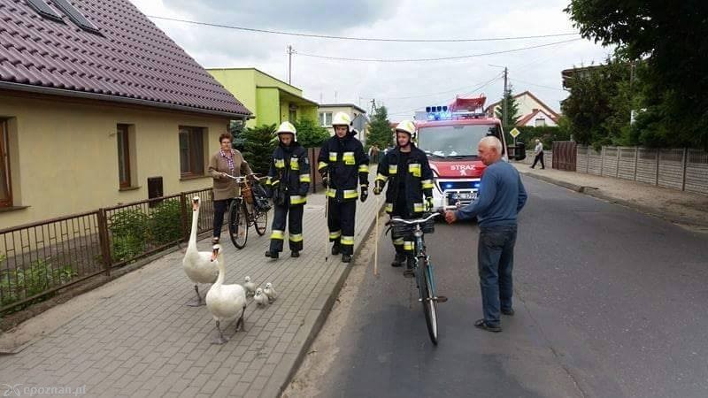 fot. OSP Kębłowo
