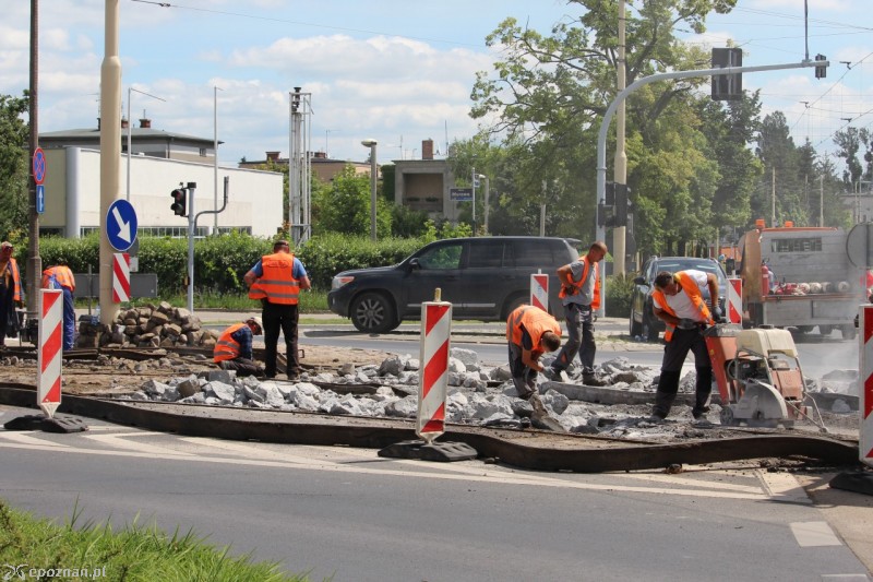 fot. Jędrzej Gerwel