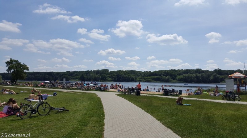 Rusałka | fot. Dariusz Sienniak