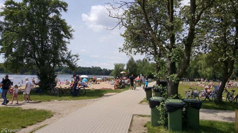 Rusałka  | fot. Dariusz Sienniak
