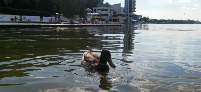 fot. Marcin \"drEjk\" Szymkowiak