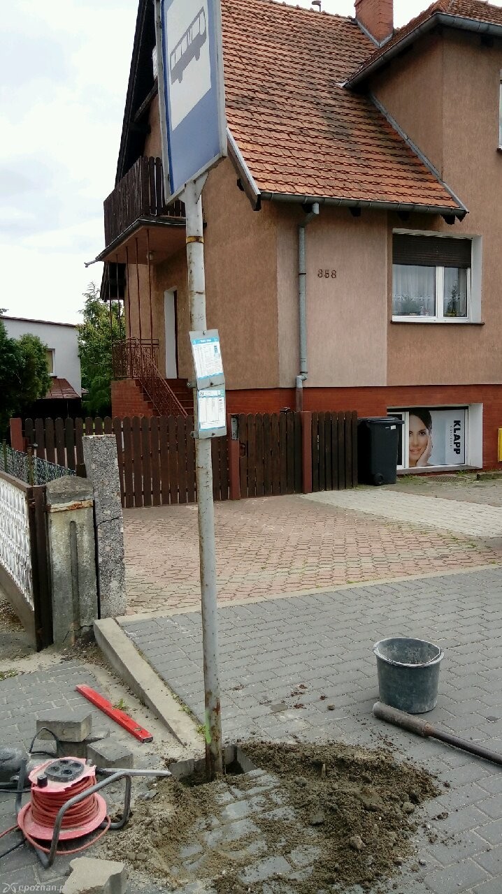 fot. Iwona