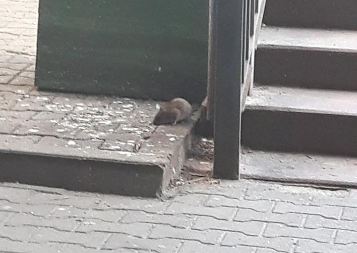 fot. czytelnik