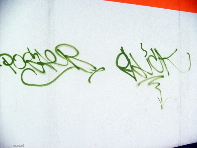 fot. TOR