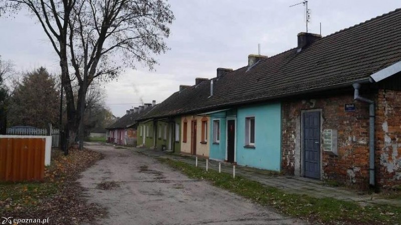 fot. T. Wierzbicki/Biuletyn Miejski