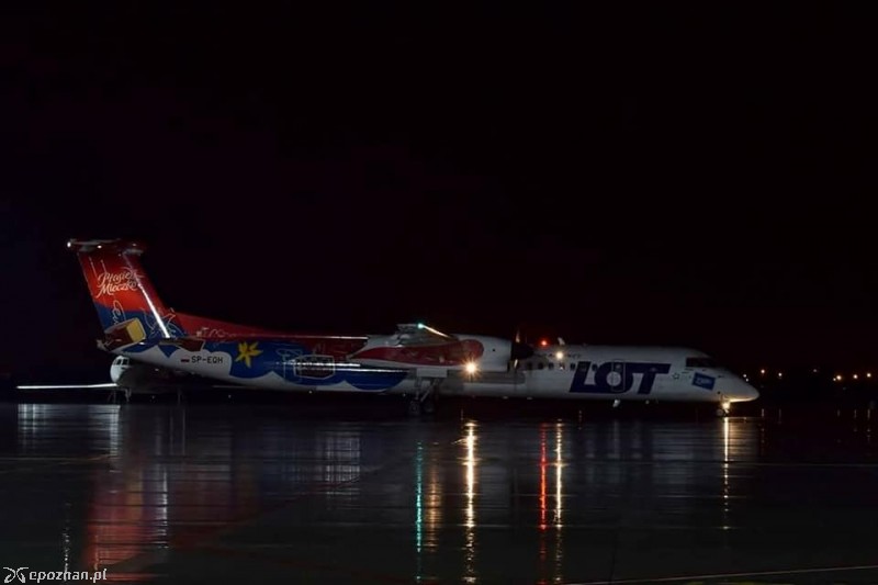 fot. Ławica