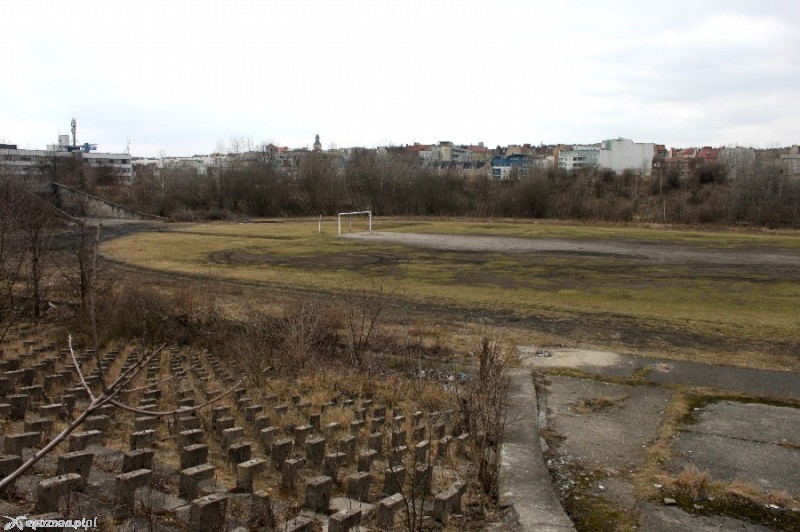 fot. Elżbieta Skowron / archiwum