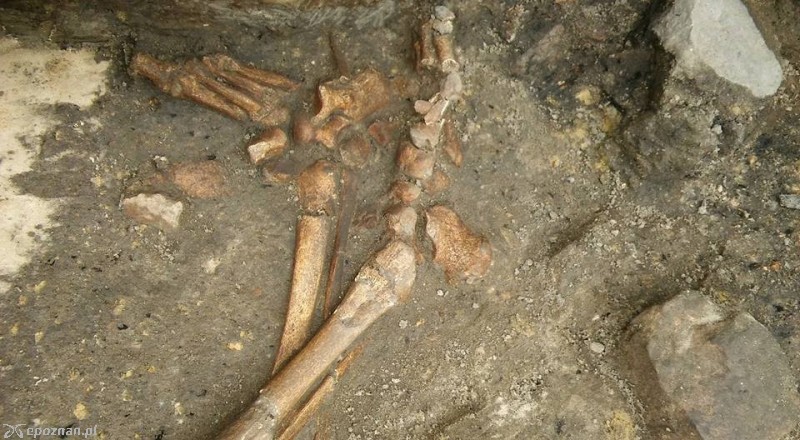 fot. Z Archiwum X Ostrowa Tumskiego