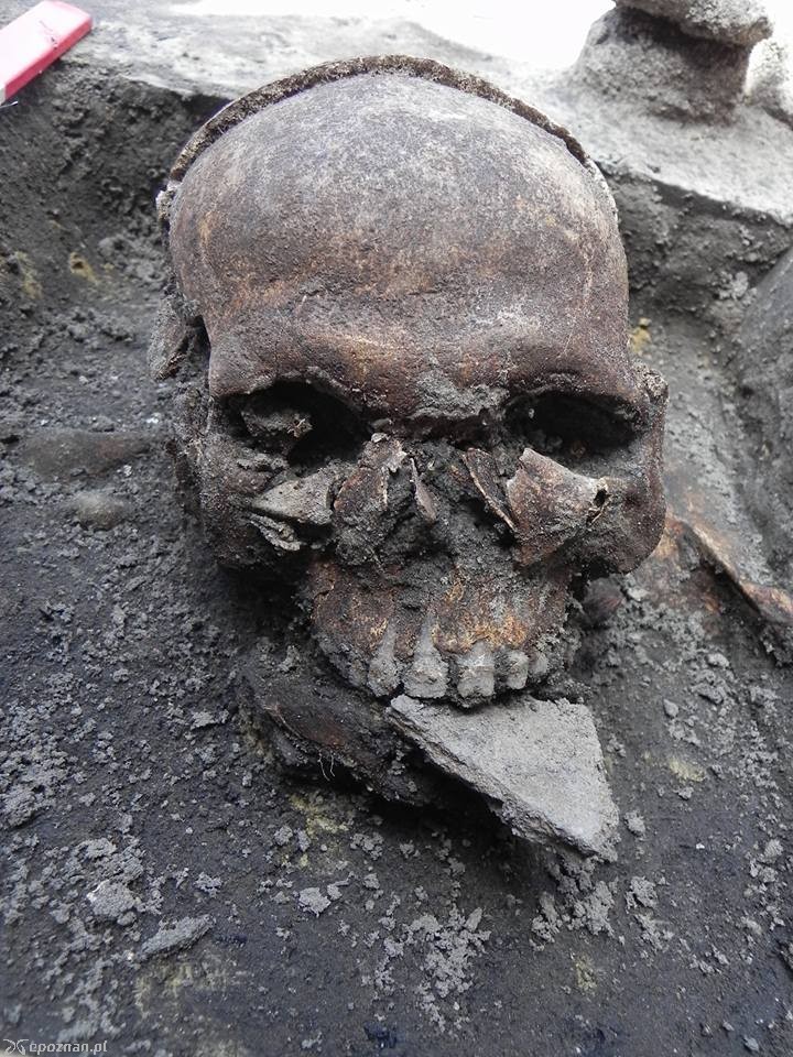 fot. Z Archiwum X Ostrowa Tumskiego