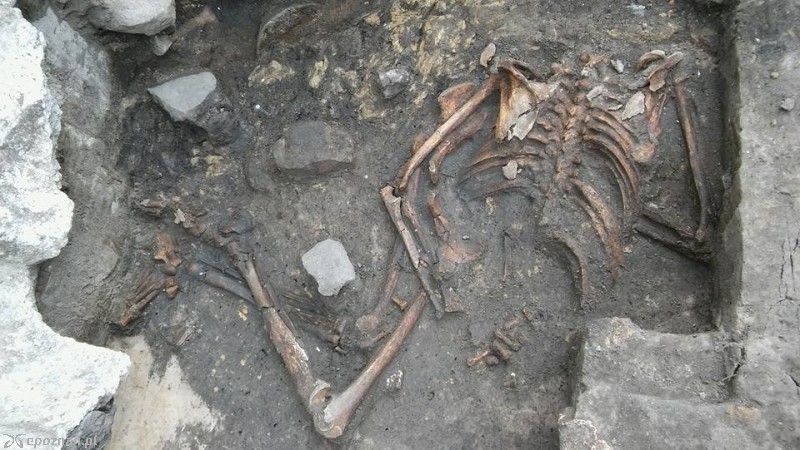 fot. Z Archiwum X Ostrowa Tumskiego