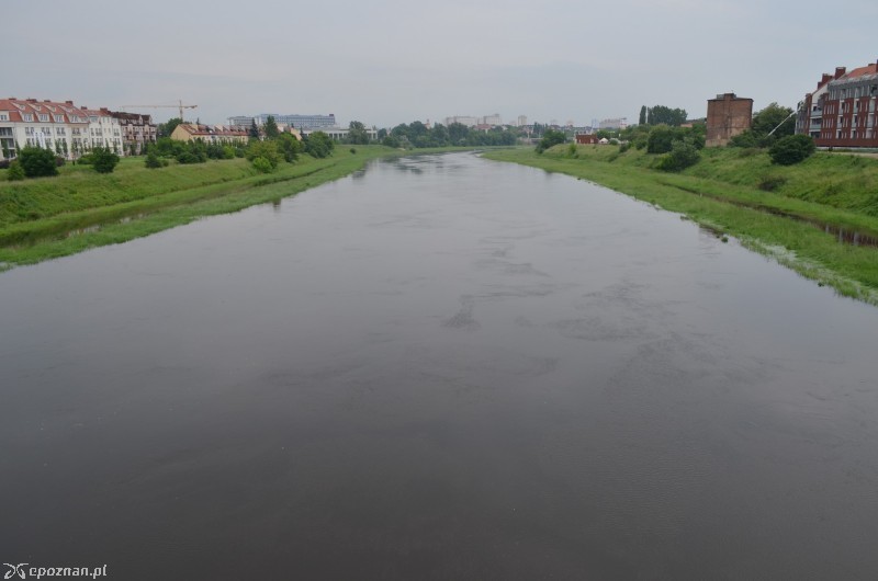 Warta w Poznaniu w 2013 roku | fot. Krzysztof Szczotka