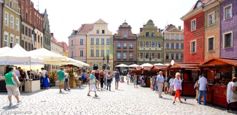fot. Włodzimierz Hoppel / archiwum